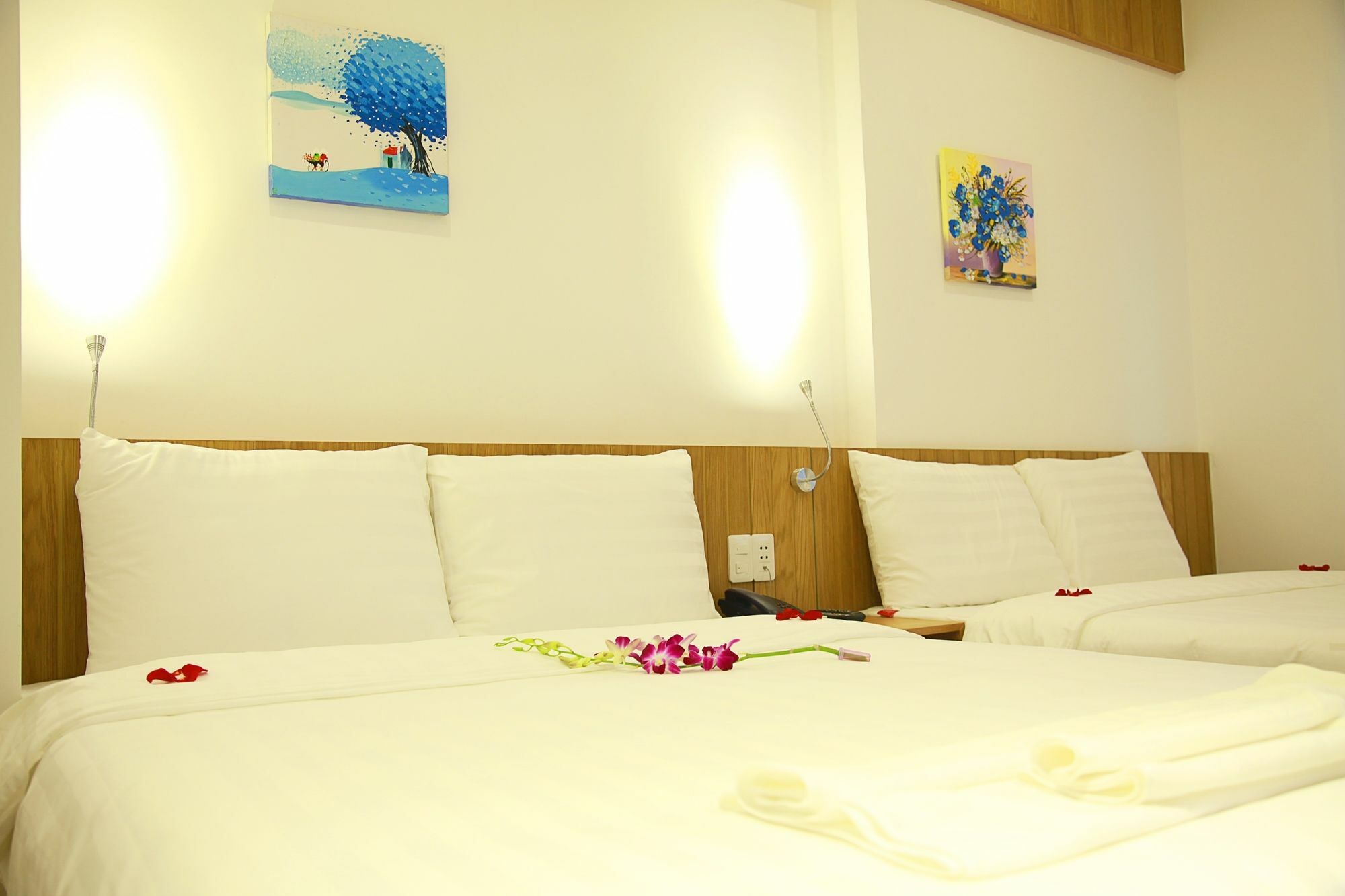 Meraki Hotel Danang Exterior photo